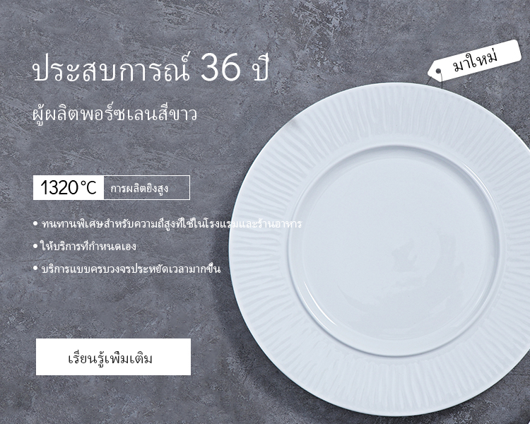 泰banner-1-m 拷贝